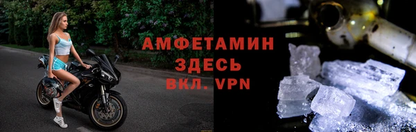 шишки Пересвет
