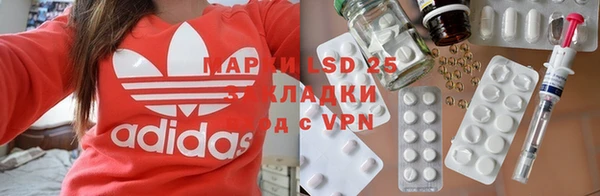 шишки Пересвет