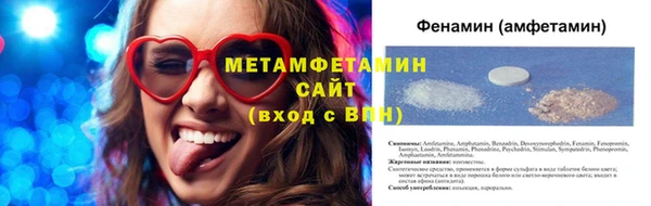 шишки Пересвет