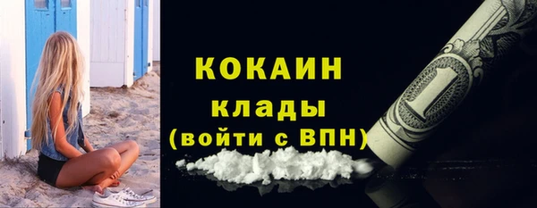 шишки Пересвет
