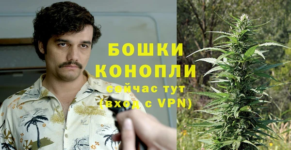 МДПВ Пестово