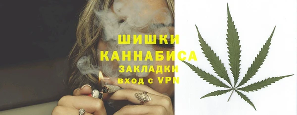 МДПВ Пестово