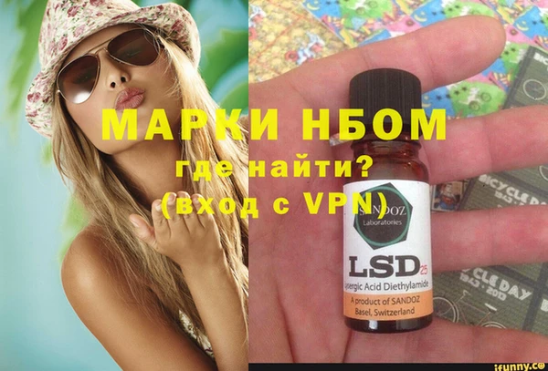 шишки Пересвет