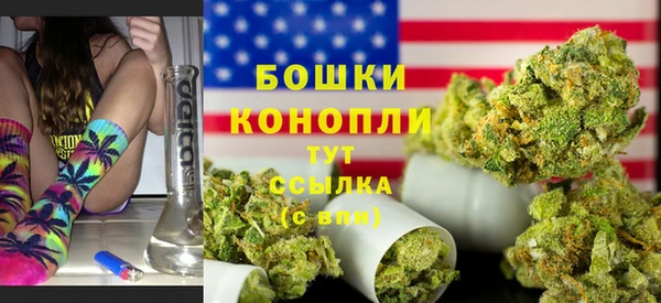 шишки Пересвет