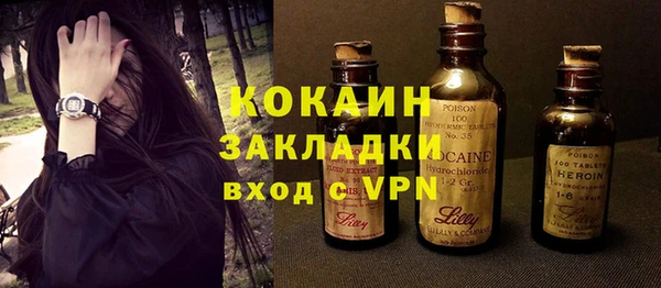 шишки Пересвет