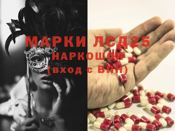 шишки Пересвет