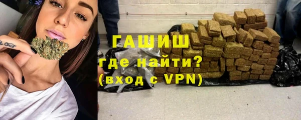 шишки Пересвет