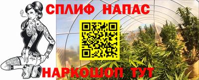 ГАЛЛЮЦИНОГЕННЫЕ ГРИБЫ Абакан