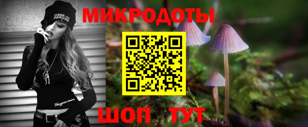 Псилоцибиновые грибы Cubensis Абинск